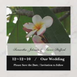 Frangipani Bröllop Save the Date-kunngöranden Spara Datumet