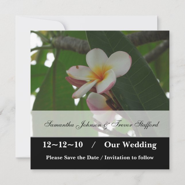 Frangipani Bröllop Save the Date-kunngöranden Spara Datumet (Framsida)