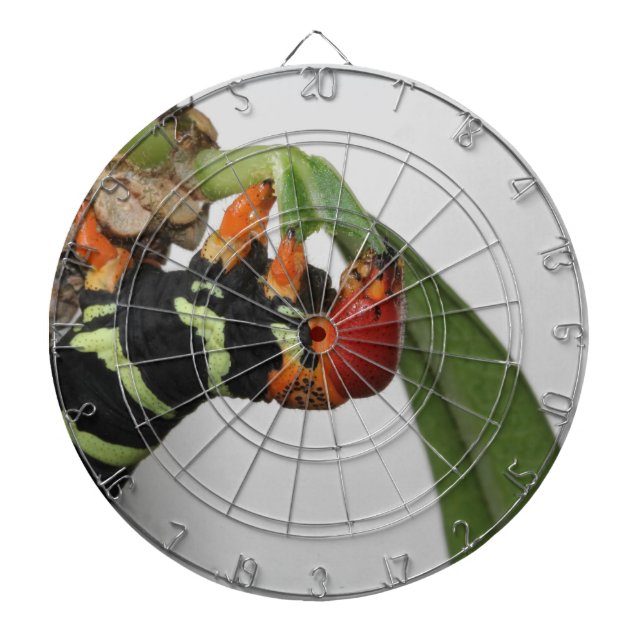 Frangipani Caterpelare Dart Board Piltavla (Framsidan)