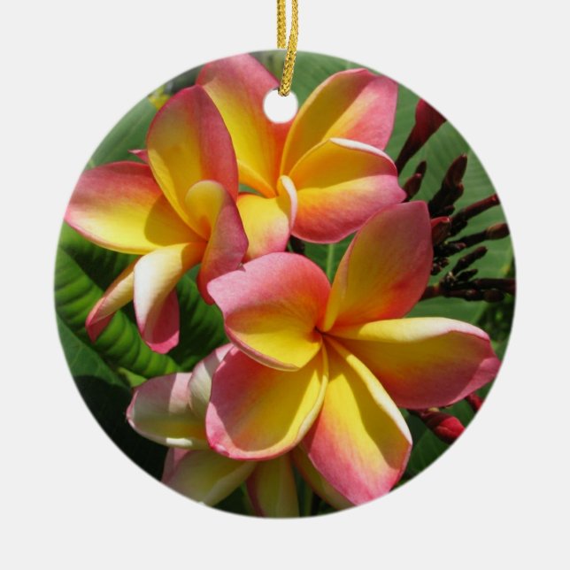 Frangipani Ceramic Dekoration (Framsidan)