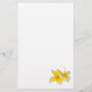 Frangipani för gult för vit för Plumeriablommor Brevpapper