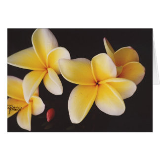 Frangipani Hälsningskort
