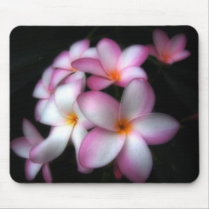 Frangipani i blom musmatta