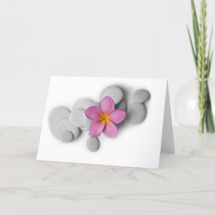 Frangipani Lugn Kort