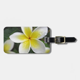 Frangipani- och Raindropsbagagemärkre Bagagebricka