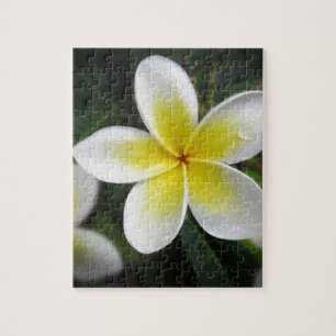 Frangipani- och Raindropspussel Pussel