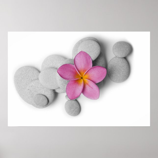 Frangipani och Småstarna Poster (Framsidan)