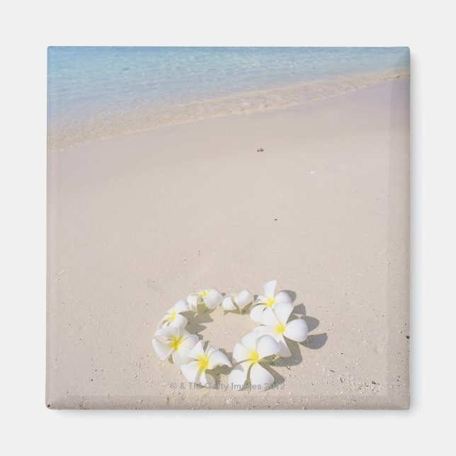 Frangipani på stranden magnet (Framsidan)
