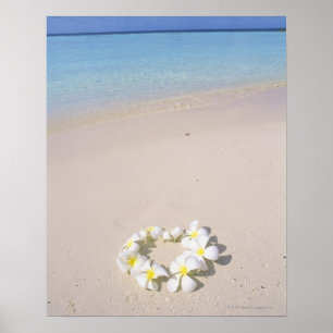 Frangipani på stranden poster