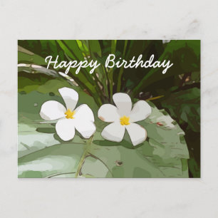 Frangipani Plumeria-blommor på grönten Birthday Vykort