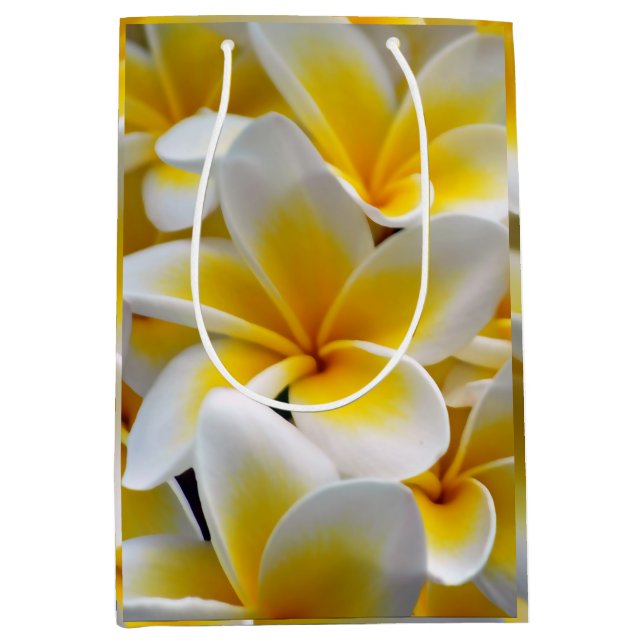 Frangipani Plumeria Flower Photo (Framsidan)