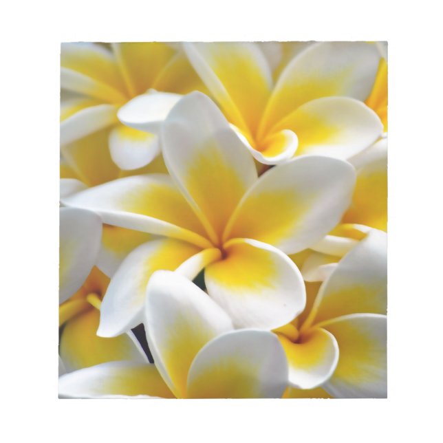 Frangipani Plumeria Flower Photo Anteckningsblock (Framsida)