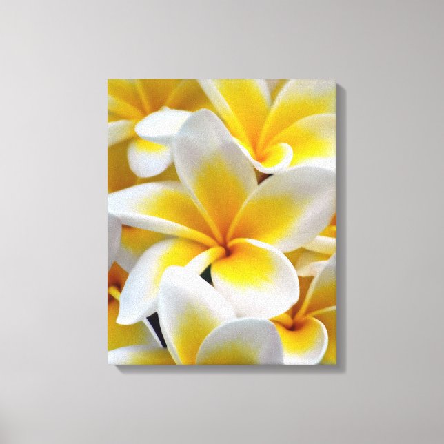 Frangipani Plumeria Flower Photo Canvastryck (Framsida)