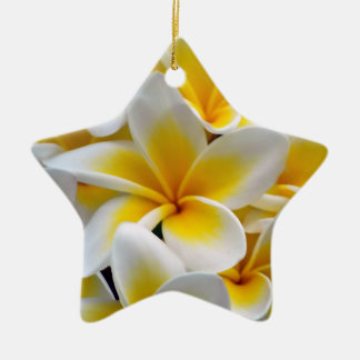 Frangipani Plumeria Flower Photo Julgransprydnad Keramik