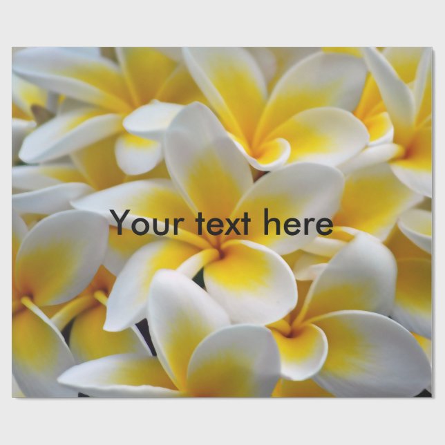 Frangipani Plumeria Flower Photo Presentpapper (Platt)
