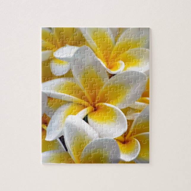 Frangipani Plumeria Flower Photo Pussel (Vertikal)