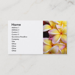 Frangipani - Plumeria Visitkort