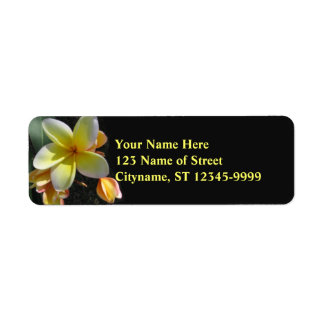 Frangipani Returadress Etikett