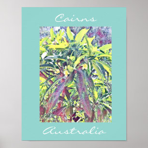 Frangipani Träd Cairns Australien tropiska Poster