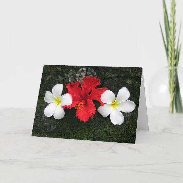 frangipani trekant kort (Framsida)