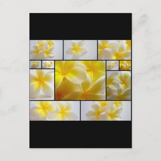 Frangipanis Vykort (Framsida)