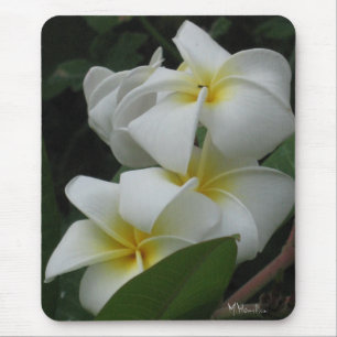 Frangipanisfoto Mousepad Musmatta