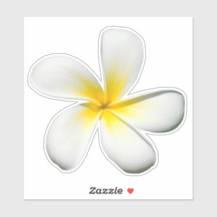Frangipi Blommar Sticker Klistermärken