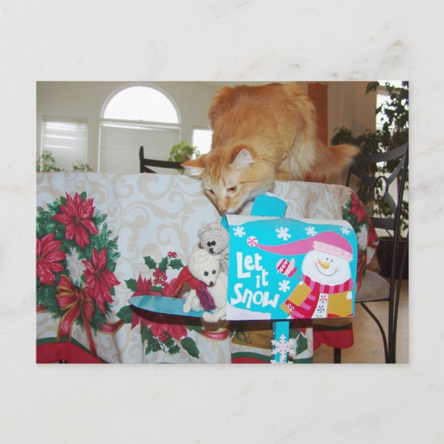 Frank&Leo: Han är här! Santa? Inte katten! Helg Vykort (Framsida)