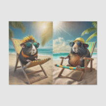 Frankie G & Gerald, Guinea Grisar Go Vaca