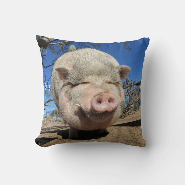 Frankie Gris Pillow Kudde (Framsida)