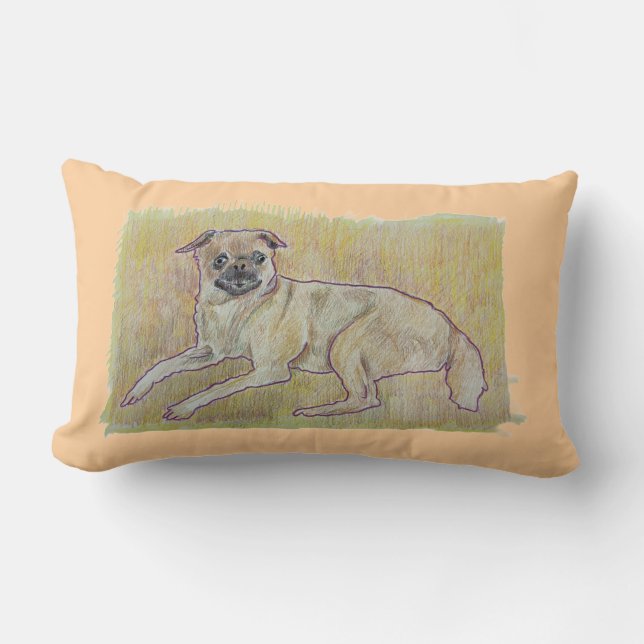 Frankie Pillow Lumbarkudde (Framsida)