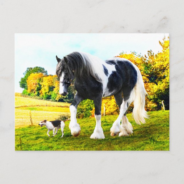 "Frankie & Tessa" vykort (Framsida)