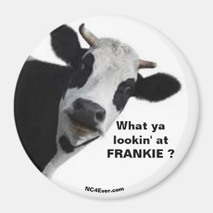 FRANKIE Vad tittar du på? roligt magnet? Magnet