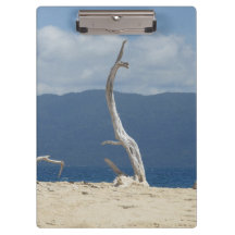 Franklandsöarna - Australien