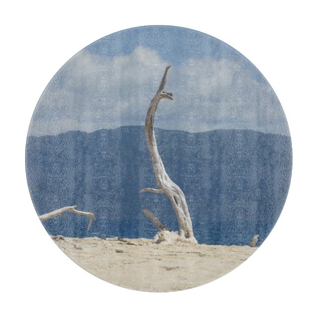 Franklandsöarna - Australiens Chopping Board (Framsidan)