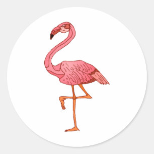 Franklin Flamingo Runt Klistermärke