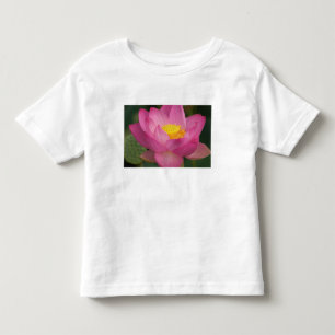 Franklin NC, Perry's Water Garden, Lotus 2 Tee Shirt