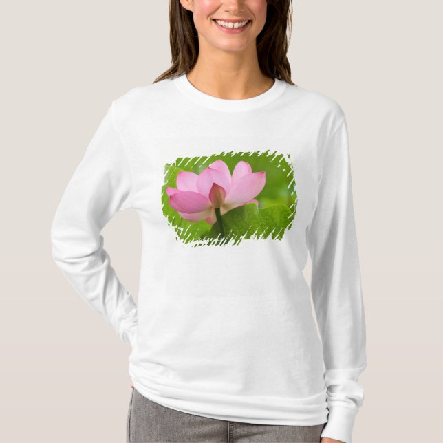 Franklin NC, Perry's Water Garden, Lotus Tee (Framsida)