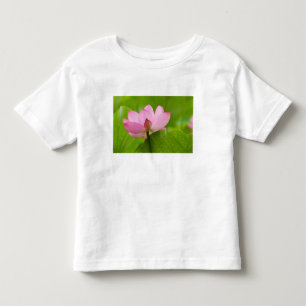 Franklin NC, Perry's Water Garden, Lotus Tee Shirt