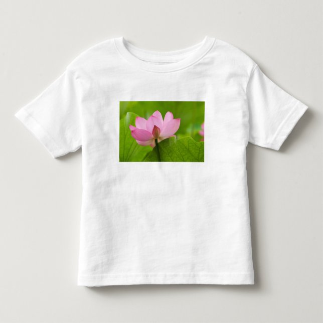 Franklin NC, Perry's Water Garden, Lotus Tee Shirt (Framsida)