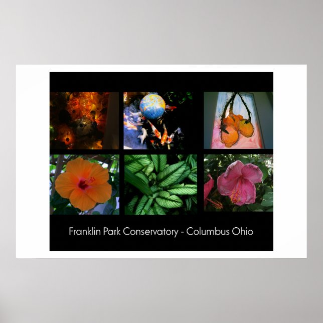 Franklin Park Conservatory Poster (Framsidan)