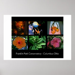 Franklin parkerar drivhusaffischen poster