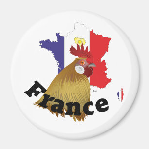 Frankreich Frankrike Francia Magnete Magnet