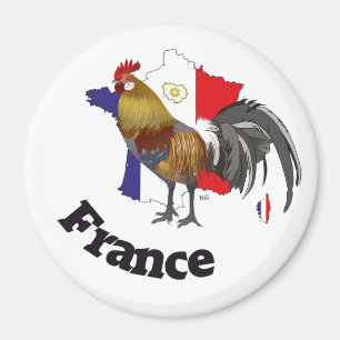 Frankreich Frankrike Francia Magnete Magnet