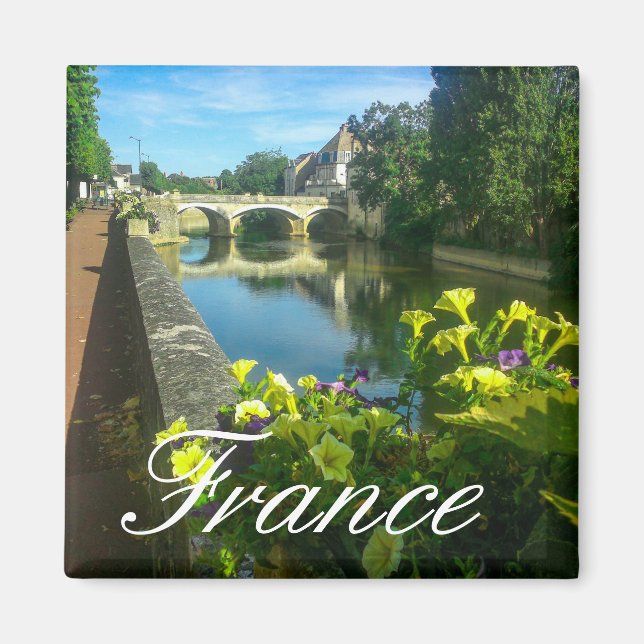 Frankrike Architecture Cityscape Street Stone Brid Magnet (Framsidan)