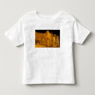 Frankrike, Avignon, Provence, Påvlens palats på na Tee Shirt