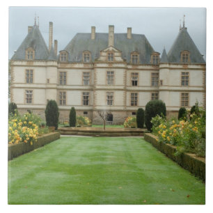 Frankrike, Burgund, Cormatin, Chateau de Cormatin, Kakelplatta