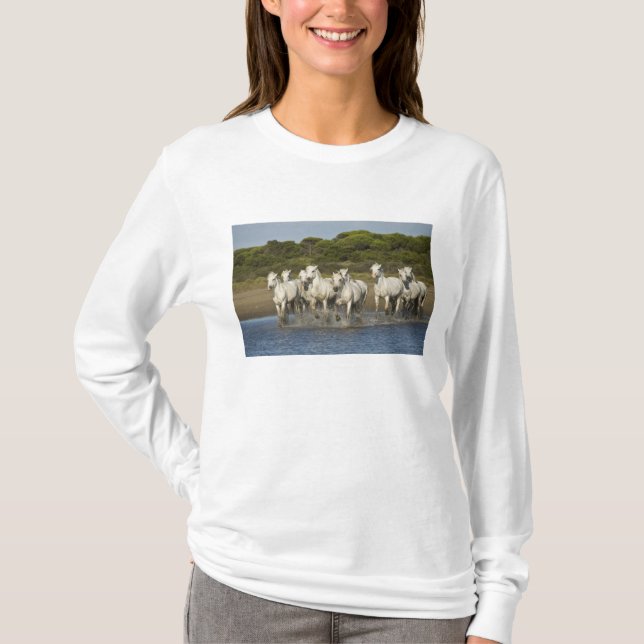 Frankrike, Camargue. Hästar springa genom mynninge T-shirt (Framsida)