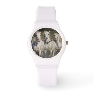 Frankrike, Camargue. Hästar springer Armbandsur
