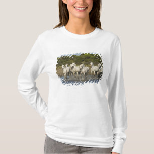 Frankrike, Camargue. Hästar springer genom flodmyn T Shirt